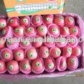 Seleced Apples